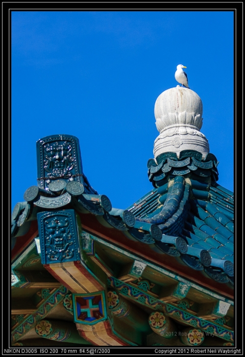 The pagoda and the bird